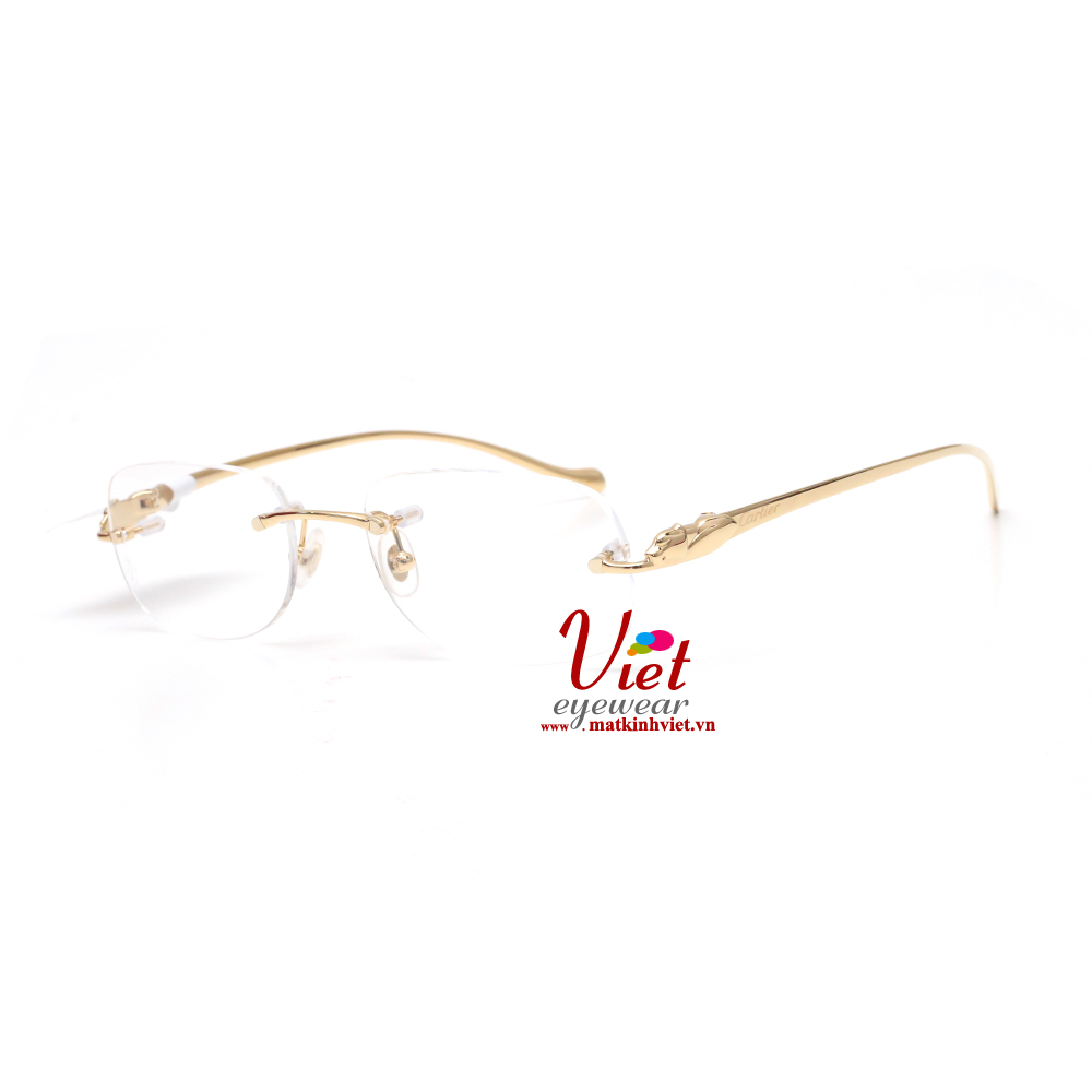 Gọng kính Cartier CT0058O 002